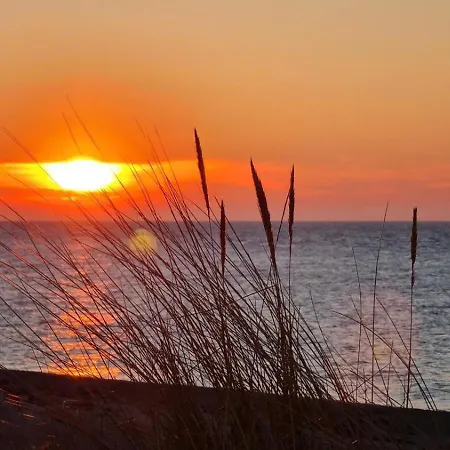 Apartmán Springborn